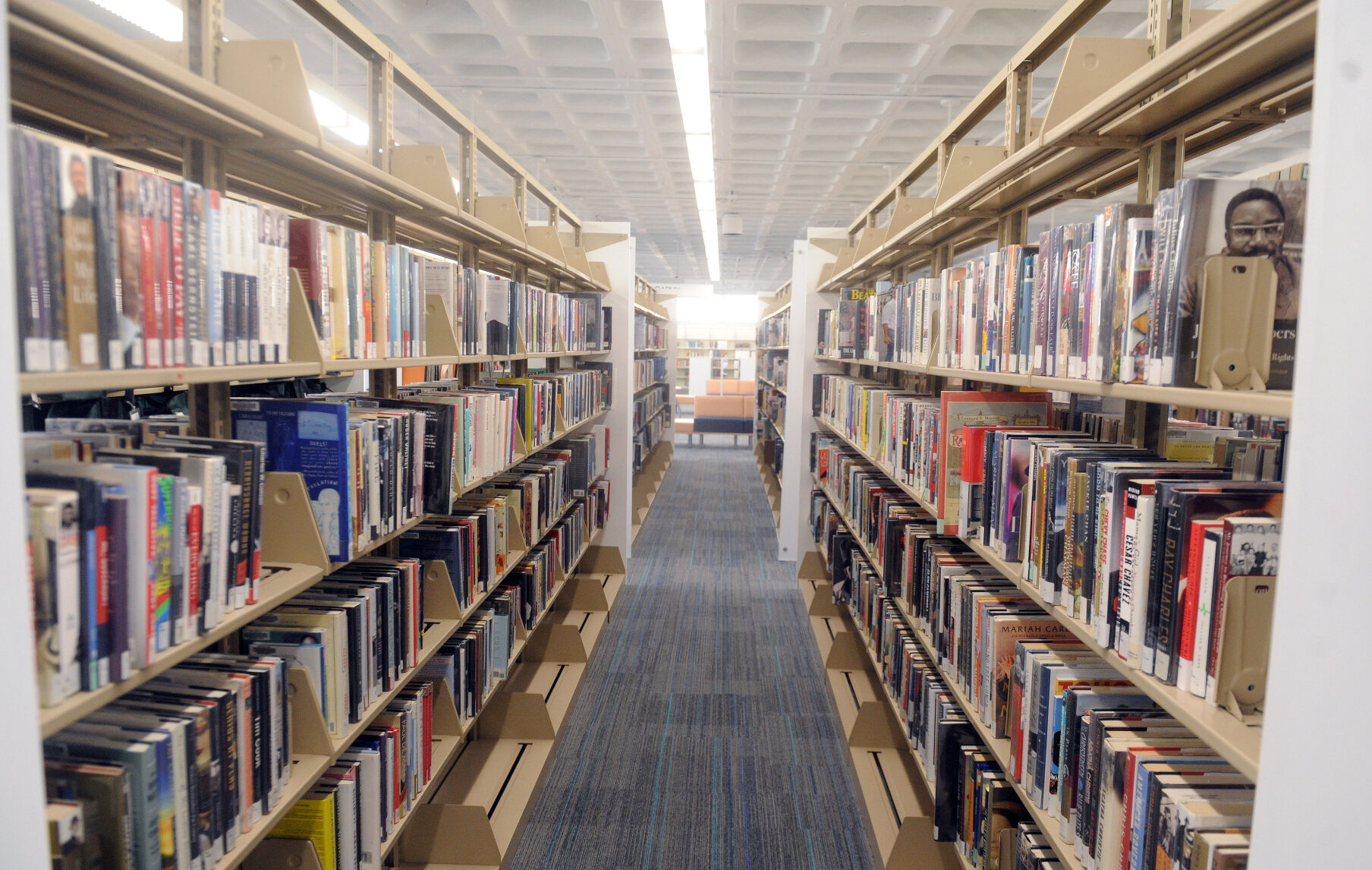 Camden County Library shelves